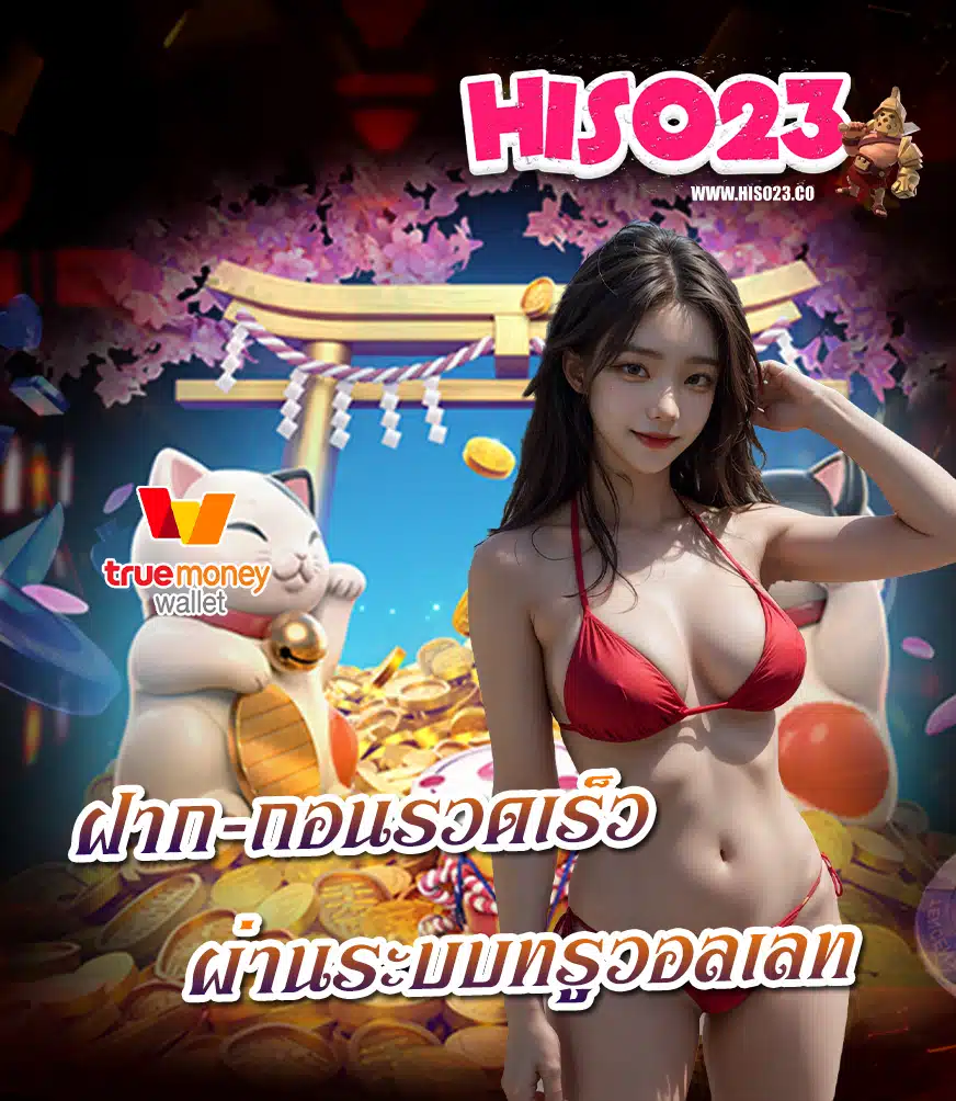 hiso23